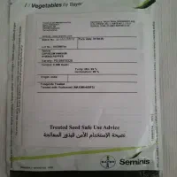 تخم فلفل