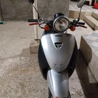 متور پاکشتی تودی