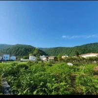 زمین سند دار / سود قطعی / اقساط