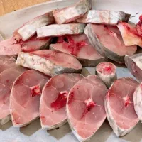 ماهی تازه دریای جنوب