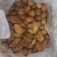بادام پوست کاغذی