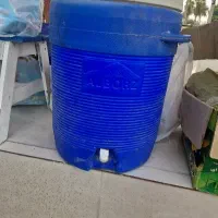 کلمن آبی البرز