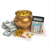 سرمایه گذار مالی هستم /آنی