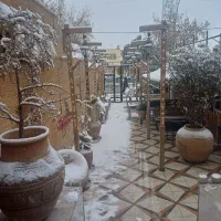 کمک آشپز، باریستا و سالنکار