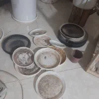 زیرگلدونی