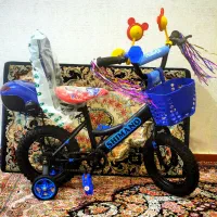 فروش دوچرخه کودک نو مستقیم از مجموعه
