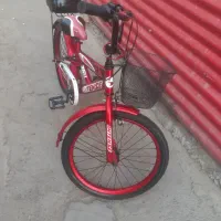 ۲۰ دوچرخ
