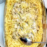 غذای خانگی توسط بانوی ایرانی