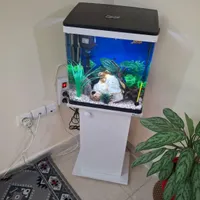 اکواریوم دلساk390