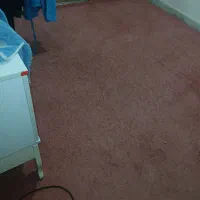 پالاز موکت