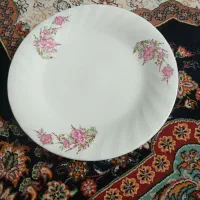دو دست بشقاب برنج خوری دستی ۳۵۰۰۰۰