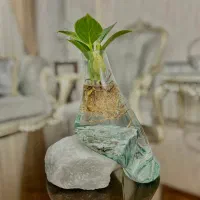 گل گیاه|گل و گیاه طبیعی|مشهد, عنصری|دیوار