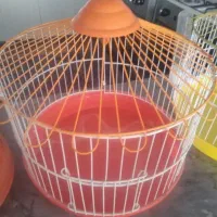 جوجه سهره خاکی