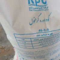 کوداوره کودسفید