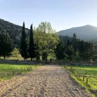 ۳۲۰ متر در خاصترین شهرک ۱جنگل زربین موقعیت رویایی