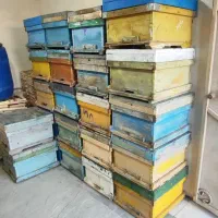 کندو زنبورخالی