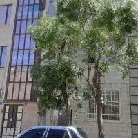 آیت اله غفاری21مترتجاری