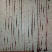 یک جفت آویز جلوی در