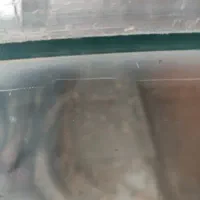 آکواریوم و سامپ