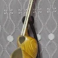 ساز|سازهای سنتی|اصفهان, نقش جهان|دیوار