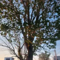 زمین-1420متر