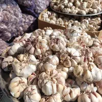 سیرخشک اعلا ممتاز