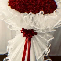 گل رز شاین دار