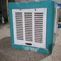 کولرابی