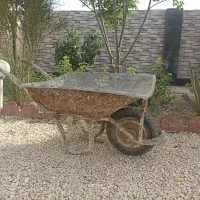 فرقون