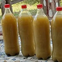 آبغوره طبیعی