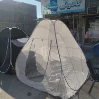 پشه بند
