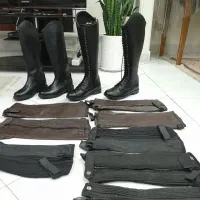 فروش انواع لوازم سوارکاری و اسب ایرانی و خارجی