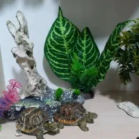 لوازم تزیینی آکواریوم