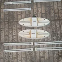 دوعدد مهتابی چهارشاخه سالم