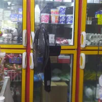یخچال6دره مغازه