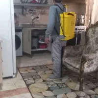 خدمات سمپاشی درپیروزی نیرو هوای تهران پارس
