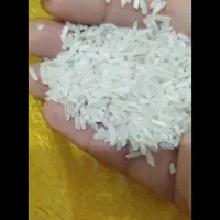 برنج محلی|خوردنی و آشامیدنی|بهشهر, |دیوار