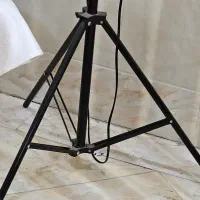 رینگ لایت