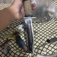 چاقو