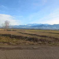 فروش زمین بدون کاربری چسبیده مسکونی آینده دار