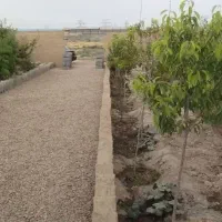 باغچه-زمین-دور-دیوار-250متری