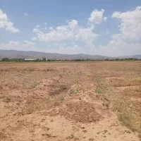 زمین در پشت کوچه رز از زمین های حاج نقی