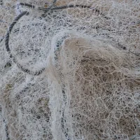 تور برای صید پرندگان