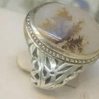 نگین شجر مدل شبکه
