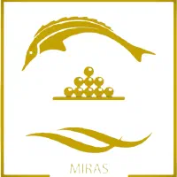 استخدام نیرو تولید