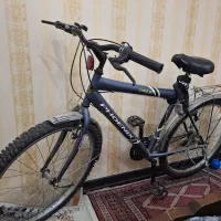 دوچرخه فونیکس ۲۷
