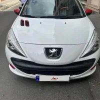 ۲۰۷ اتوماتیک مولتی کالر MC