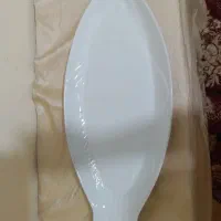 دیس ماهی
