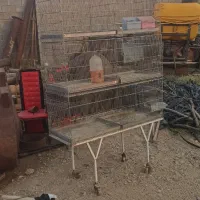 قفس پرنده