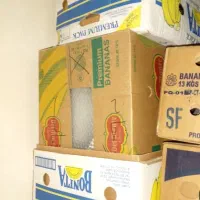 کارتن موز